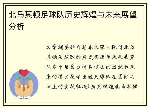 北马其顿足球队历史辉煌与未来展望分析