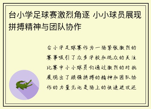 台小学足球赛激烈角逐 小小球员展现拼搏精神与团队协作