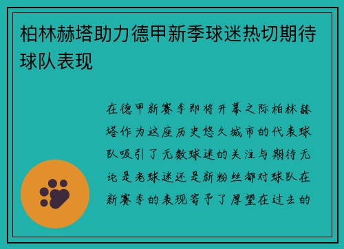 柏林赫塔助力德甲新季球迷热切期待球队表现