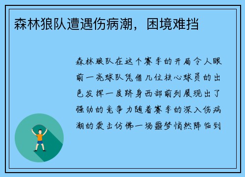 森林狼队遭遇伤病潮，困境难挡